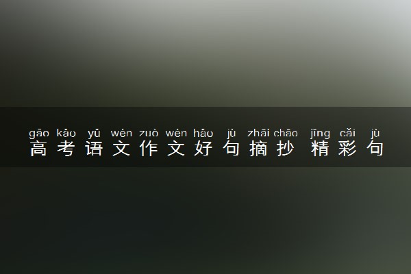 高考语文作文好句摘抄 精彩句子集锦
