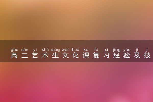高三艺术生文化课复习经验及技巧