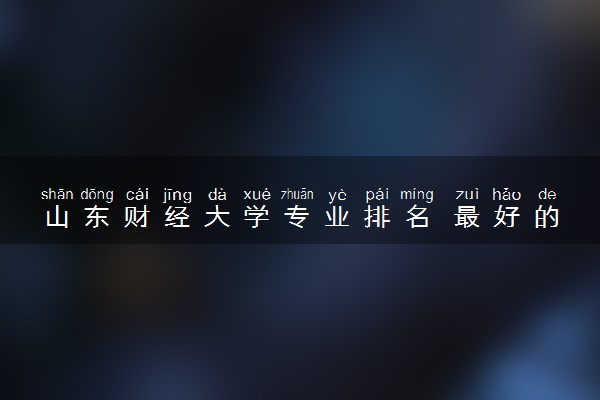 山东财经大学专业排名 最好的专业有哪些