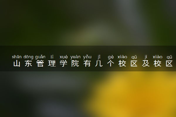 山东管理学院有几个校区及校区地址 哪个校区最好
