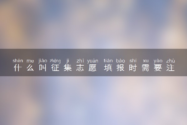 什么叫征集志愿 填报时需要注意什么
