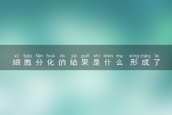 细胞分化的结果是什么 形成了什么