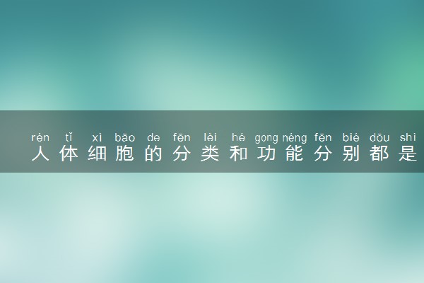 人体细胞的分类和功能分别都是什么