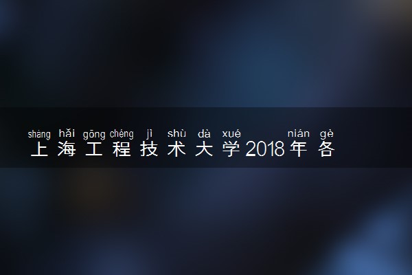 上海工程技术大学2018年各省艺术类专业录取分数线