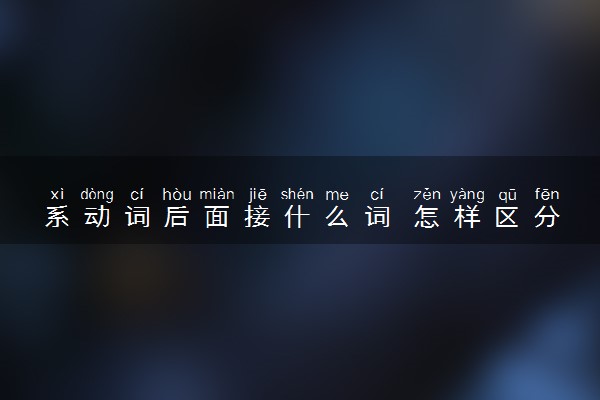系动词后面接什么词 怎样区分