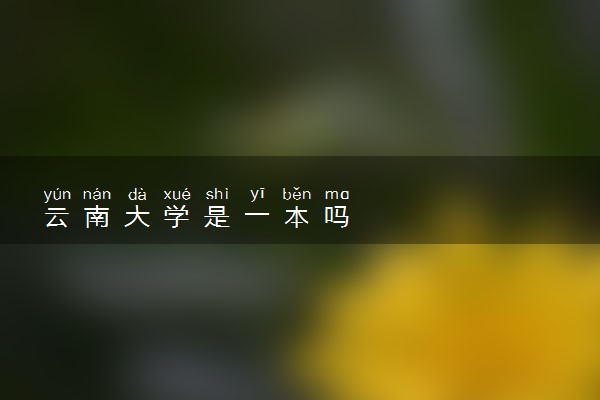 云南大学是一本吗