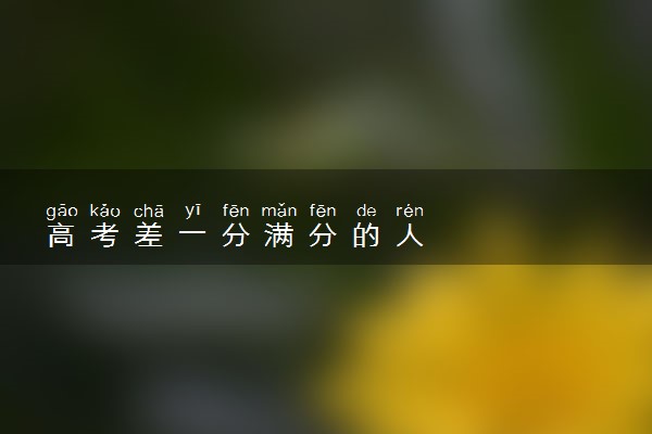 高考差一分满分的人
