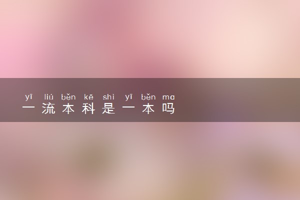 一流本科是一本吗
