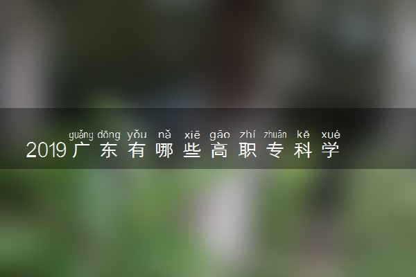 2019广东有哪些高职专科学校[公办，民办]