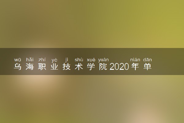 乌海职业技术学院2020年单独招生专业设置及计划