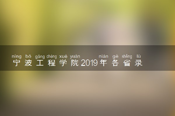 宁波工程学院2019年各省录取分数线汇总