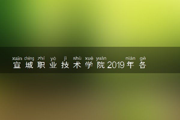 宣城职业技术学院2019年各省各专业录取分数线