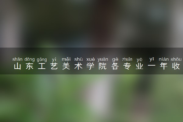 山东工艺美术学院各专业一年收费是多少