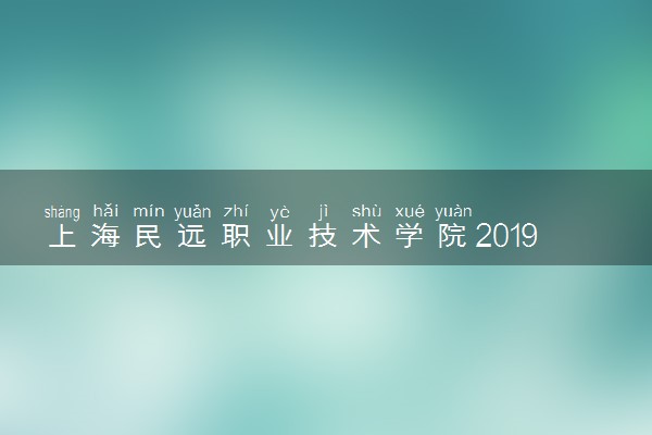 上海民远职业技术学院2019年各省录取分数线详情