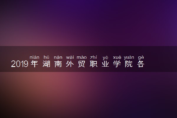 2019年湖南外贸职业学院各省录取分数线