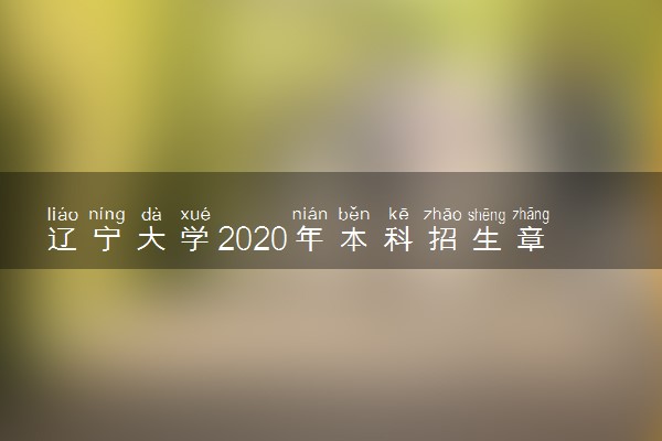 辽宁大学2020年本科招生章程