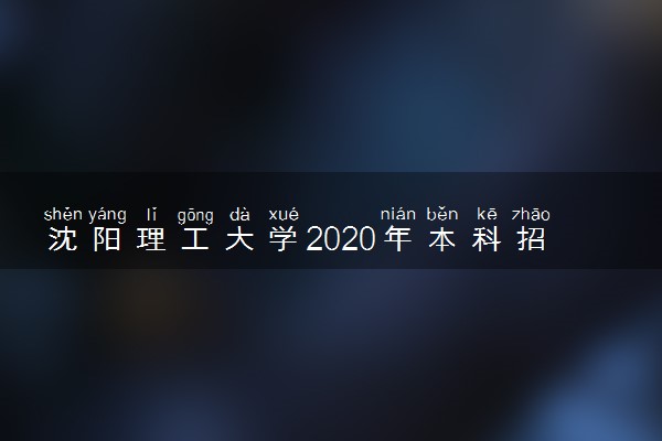 沈阳理工大学2020年本科招生章程