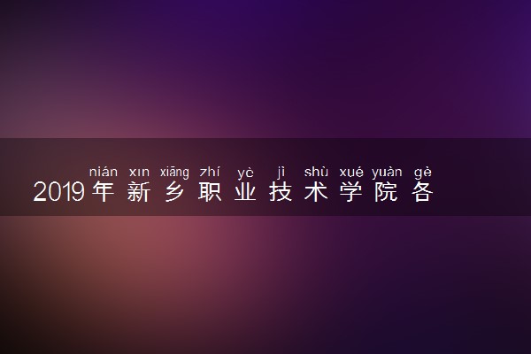 2019年新乡职业技术学院各省录取分数线