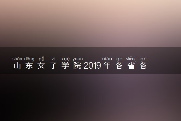 山东女子学院2019年各省各专业录取分数线