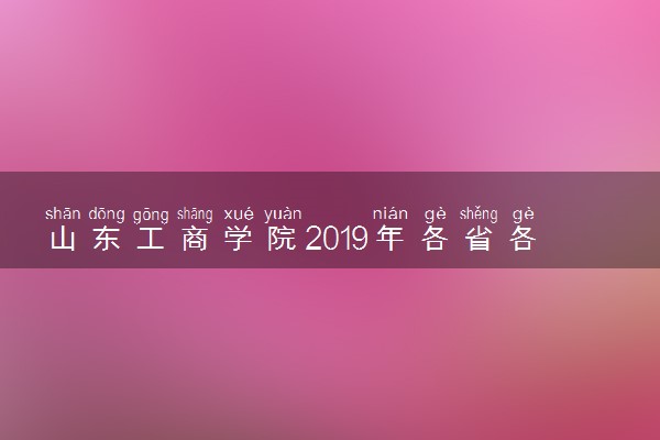 山东工商学院2019年各省各专业录取分数线