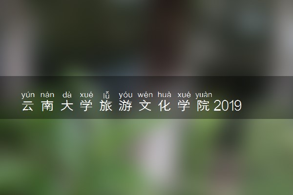 云南大学旅游文化学院2019年各省录取分数线详情