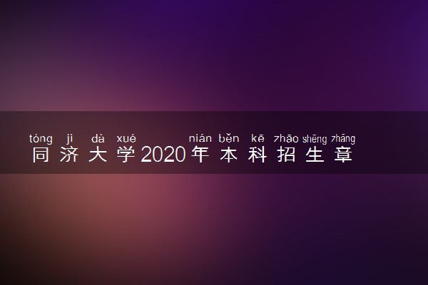 同济大学2020年本科招生章程