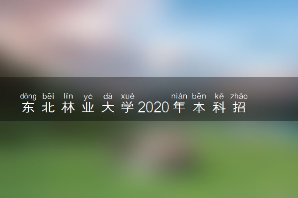 东北林业大学2020年本科招生章程