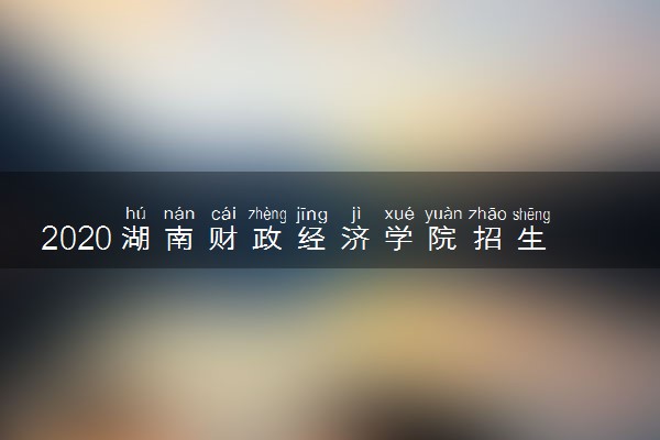 2020湖南财政经济学院招生计划 招生人数是多少