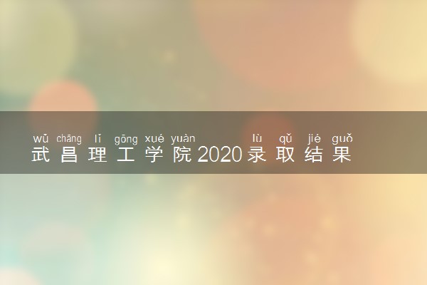 武昌理工学院2020录取结果查询入口