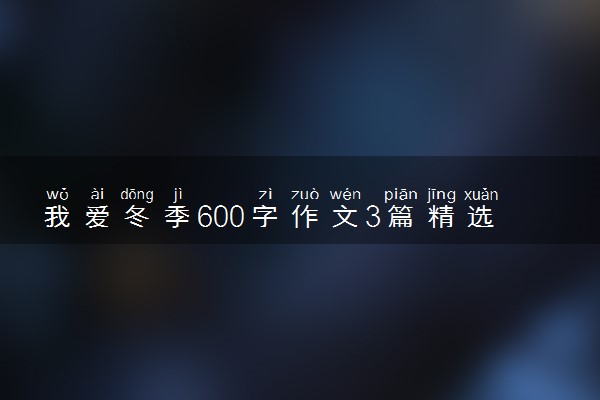 我爱冬季600字作文3篇精选