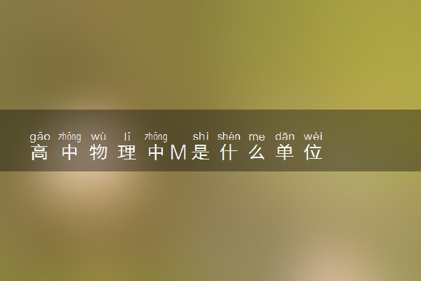 高中物理中M是什么单位