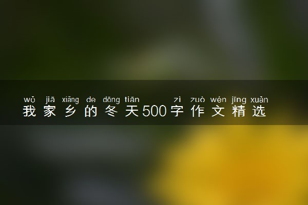 我家乡的冬天500字作文精选三篇