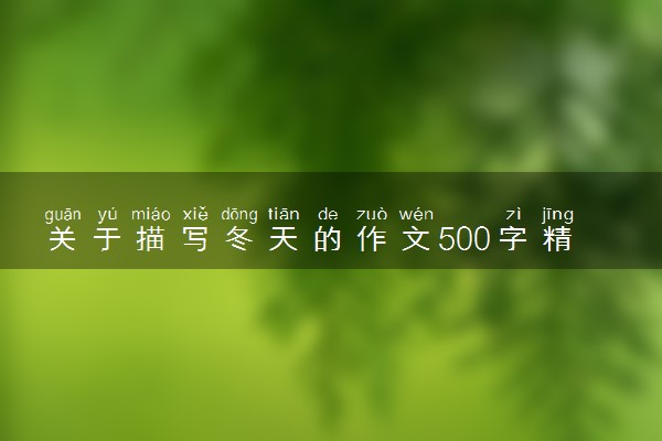 关于描写冬天的作文500字精选