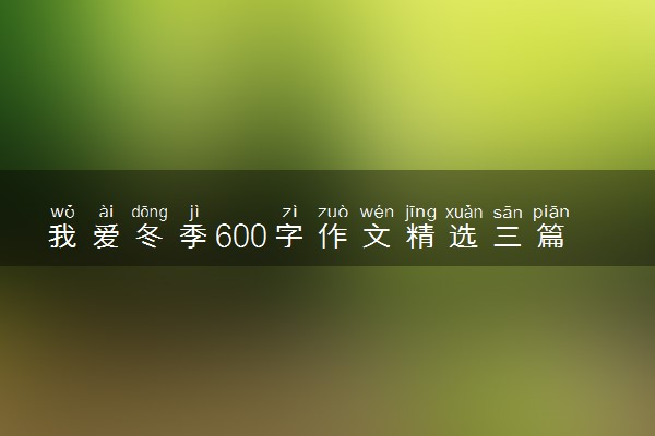 我爱冬季600字作文精选三篇