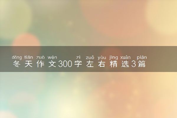 冬天作文300字左右精选3篇