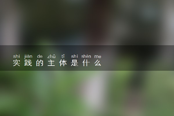 实践的主体是什么
