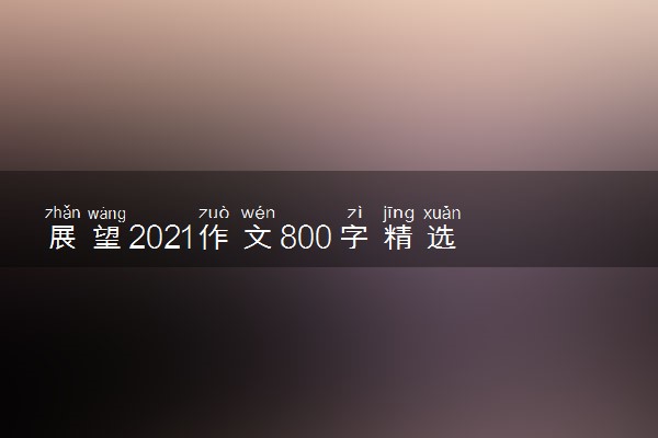 展望2021作文800字精选3篇
