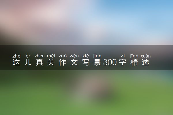 这儿真美作文写景300字精选