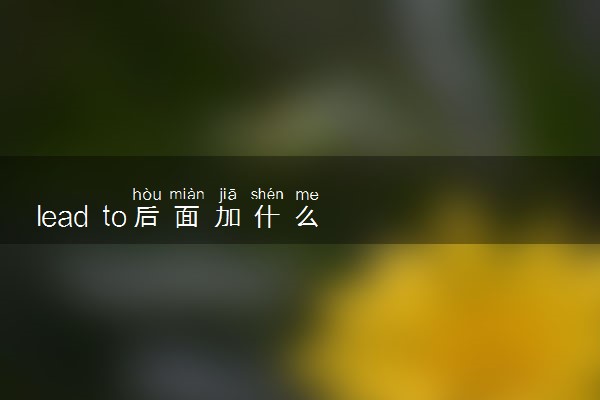 lead to后面加什么