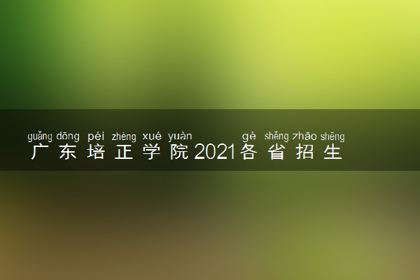 广东培正学院2021各省招生专业及招生计划