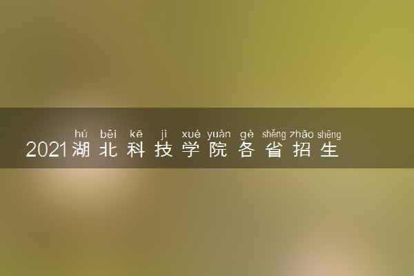 2021湖北科技学院各省招生计划及人数