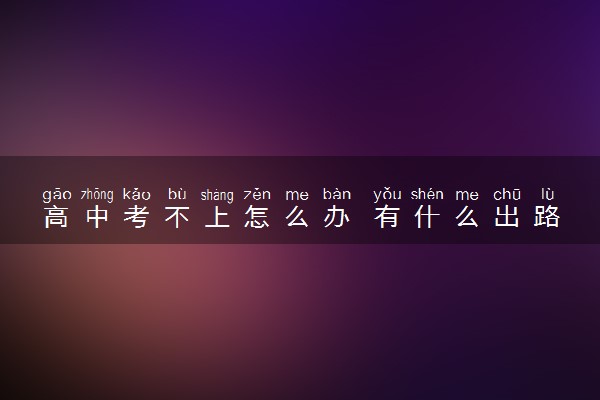 高中考不上怎么办 有什么出路
