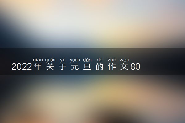 2022年关于元旦的作文800字