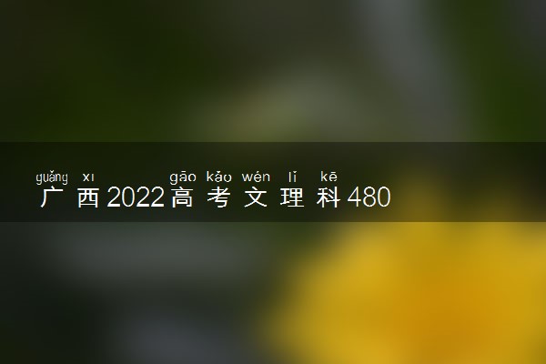 广西2022高考文理科480分可以报什么大学