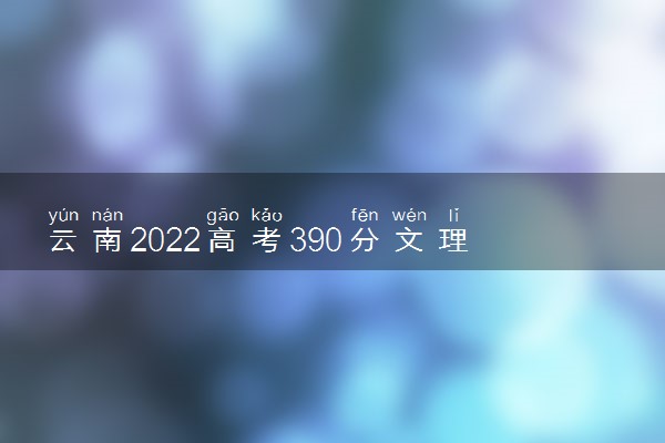 云南2022高考390分文理科能上什么大学