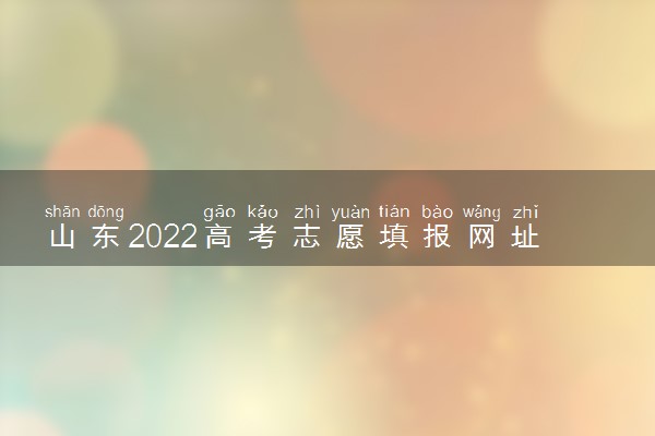 山东2022高考志愿填报网址入口