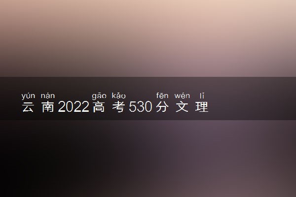 云南2022高考530分文理科报什么大学好