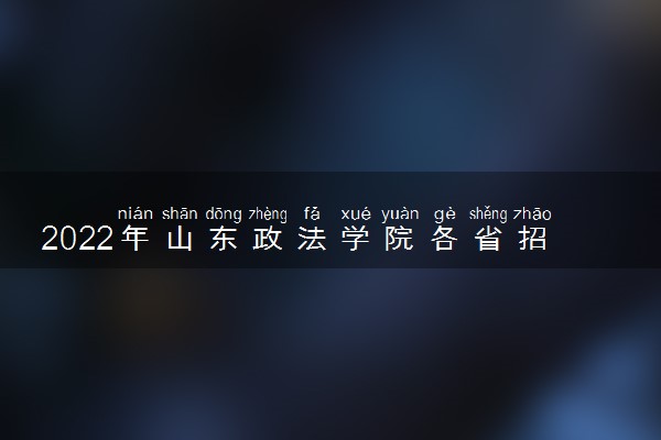 2022年山东政法学院各省招生计划及招生人数 都招什么专业