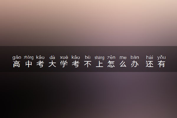 高中考大学考不上怎么办 还有什么别的道路