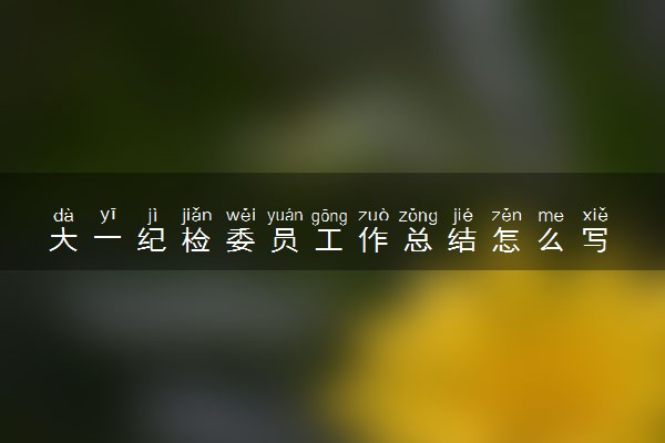 大一纪检委员工作总结怎么写 标准范文